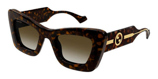 Gucci GG1552S women Havana Butterfly Sunglasses