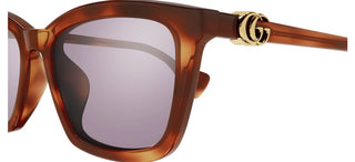 Gucci Gg1596sk Women Havana Squared Sunglasses