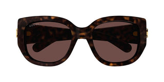 Gucci Gg1599sa Women Havana Round Sunglasses