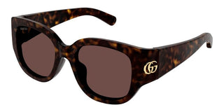 Gucci Gg1599sa Women Havana Round Sunglasses