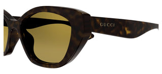 Gucci Gg1638sa Women Havana Cat Eye Sunglasses