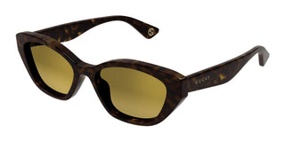 Gucci Gg1638sa Women Havana Cat Eye Sunglasses