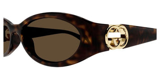 Gucci Gg1660s Women Havana Oval Sunglasses