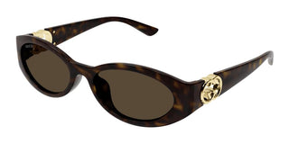 Gucci Gg1662sa Women Havana Oval Sunglasses