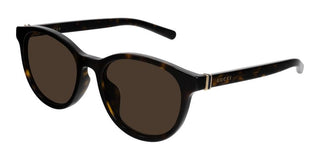 Gucci Gg1674sk Men Havana Pantos Sunglasses