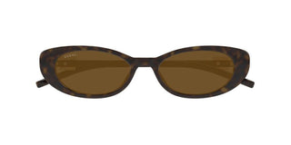 Gucci Gg1680s Women Havana Oval Sunglasses