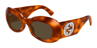 Gucci Gg1696s Women Havana Oval Sunglasses