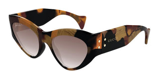 Gucci Gg1704s Women Havana Cat Eye Sunglasses