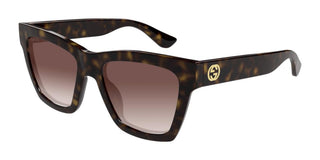 Gucci Gg1714s Women Havana Cat Eye Sunglasses