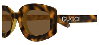 Gucci Gg1719s Women Havana Oval Sunglasses