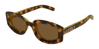 Gucci Gg1719s Women Havana Oval Sunglasses