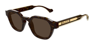 Gucci Gg1730s Men Havana Pantos Sunglasses