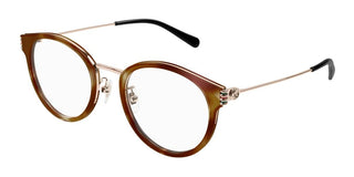 Gucci GG1885OA women Havana Round Eyeglasses