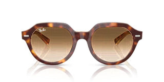 Ray-Ban GINA RB 4399 unisex 0 Geometric Sunglasses