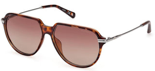 Guess Gu00067 Men Havana Pilot Sunglasses