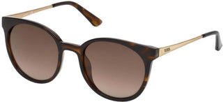 Guess Gu7503 Women Havana Round Sunglasses