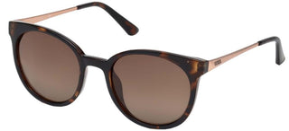 Guess Gu7503 Women Havana Round Sunglasses