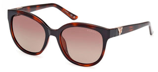 Guess GU7877 women Havana Round Sunglasses