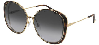 Chloé HANAH CH0036S women Havana Visor Sunglasses