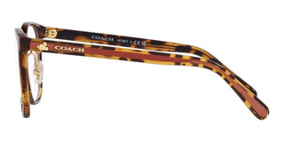 Coach HC 6217 women Brown Squared Eyeglasses