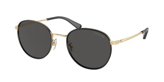 Coach HC 7163 men Gold Pantos Sunglasses