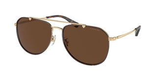 Coach HC 7164 men Havana Pilot Sunglasses