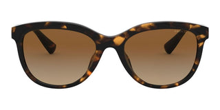 Coach HC 8285U women Havana Geometric Sunglasses