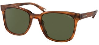 Coach HC 8313U men Brown Squared Sunglasses