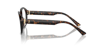 Jimmy Choo JC 3013U women Havana Butterfly Eyeglasses