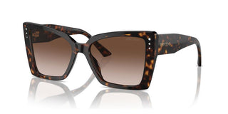 Jimmy Choo JC 5001B women Havana Butterfly Sunglasses