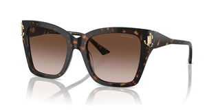 Jimmy Choo JC 5012 women Havana Butterfly Sunglasses