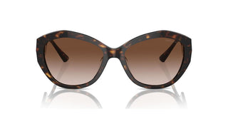 Jimmy Choo JC 5013U women Havana Butterfly Sunglasses