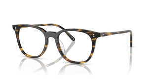 Oliver Peoples JOSIANNE OV 5538U unisex Havana Pantos Eyeglasses