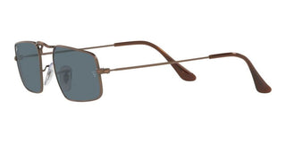 Ray-ban Julie Rb 3957 Unisex Brown Geometric Sunglasses