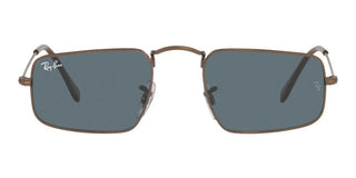 Ray-ban Julie Rb 3957 Unisex Brown Geometric Sunglasses