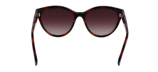 Lacoste L983S women Havana Cat Eye Sunglasses