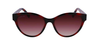 Lacoste L983S women Havana Cat Eye Sunglasses