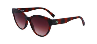 Lacoste L983S women Havana Cat Eye Sunglasses