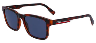 Lacoste L997S men Havana Squared Sunglasses