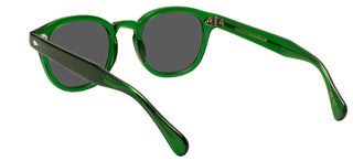 Moscot Lemtosh Unisex Green Geometric Sunglasses