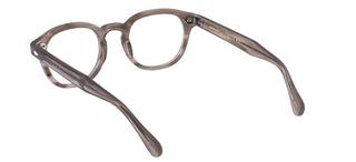 Moscot LEMTOSH unisex Brown Geometric Eyeglasses