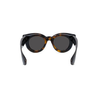 LOEWE LW40118I women Havana Cat Eye Sunglasses