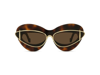 LOEWE Signature LW40119I women Havana Cat Eye Sunglasses