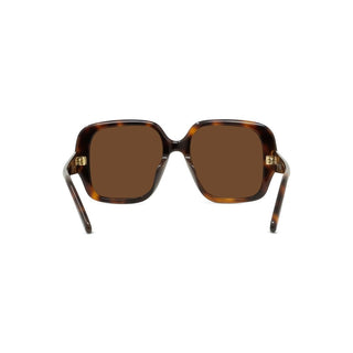 LOEWE Slim LW40134U women Havana Geometric Sunglasses