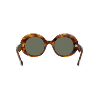 LOEWE LW40146I women Havana Oval Sunglasses