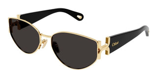 Chloé MARCIE CH0260S women Gold Oval Sunglasses