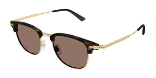 Montblanc MB0364S men Havana Pantos Sunglasses