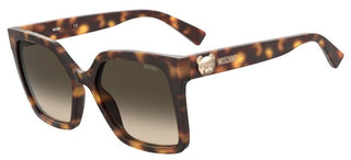 Moschino MOS123/S women Havana Squared Sunglasses