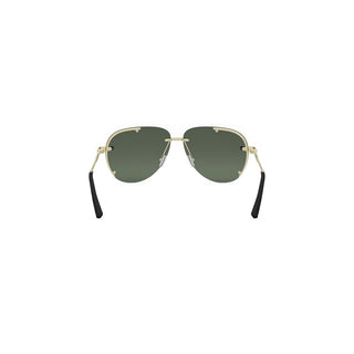 DIOR NeoDior NeoDior A1U men Gold Pilot Sunglasses