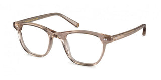 Moscot NOAH unisex Brown Pantos Eyeglasses